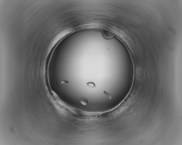 X0000112041426200908101351