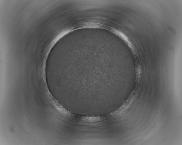 X0000112041427200908101351