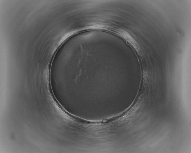 X0000112041428200908101351