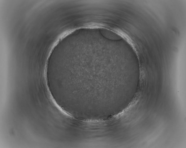 X0000112041429200908101351