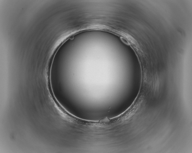 X0000112041430200908101351
