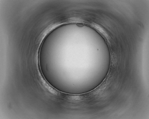 X0000112041431200908101351