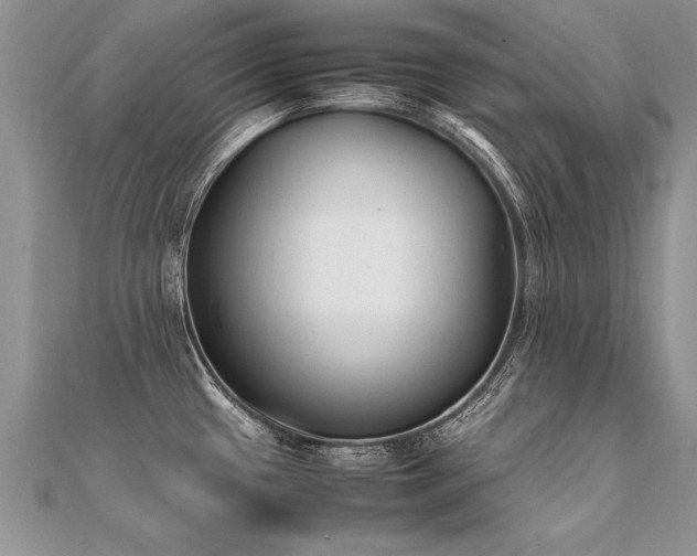X0000112041433200908101351