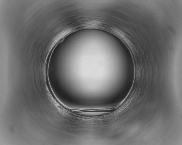 X0000112041434200908101351