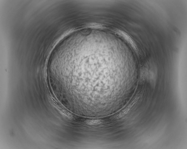 X0000112041435200908101351