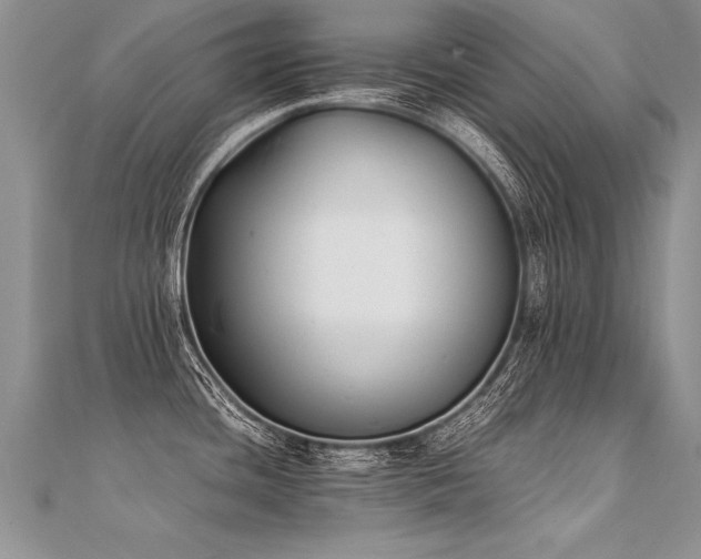 X0000112041436200908101351