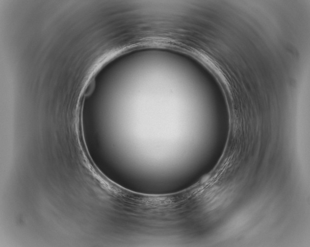 X0000112041437200908101351
