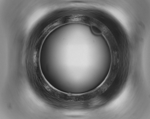 X0000112041438200908101351