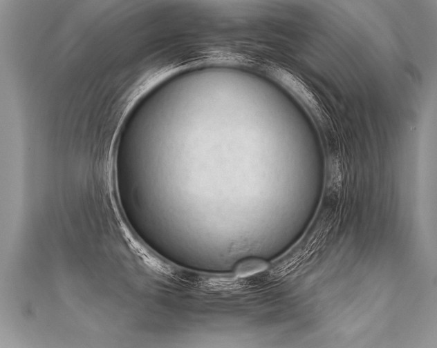 X0000112041439200908101351