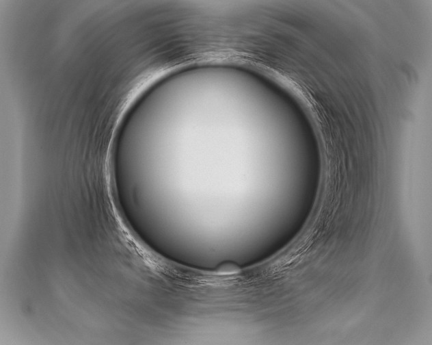 X0000112041440200908101351