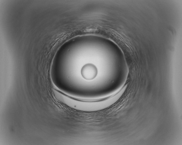 X0000112041441200908101350