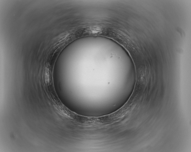 X0000112041442200908101350