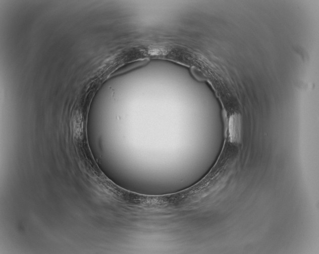 X0000112041443200908101350