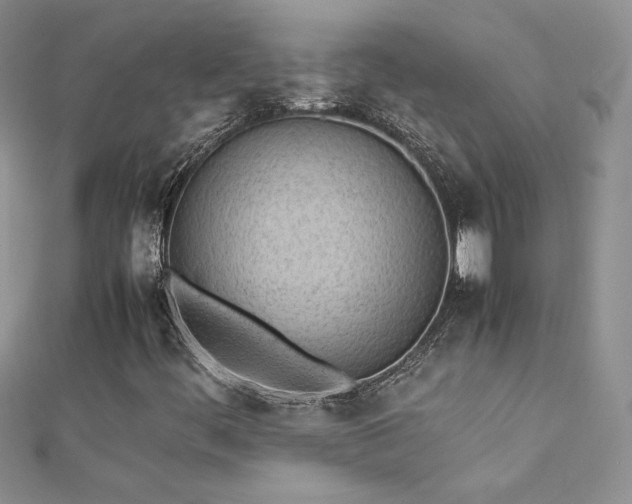 X0000112041444200908101350