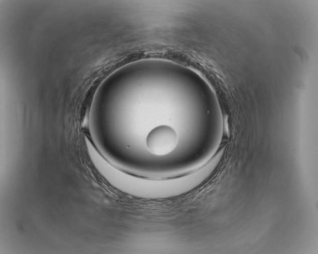 X0000112041445200908101350
