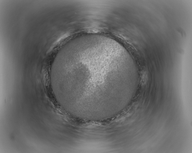 X0000112041446200908101350