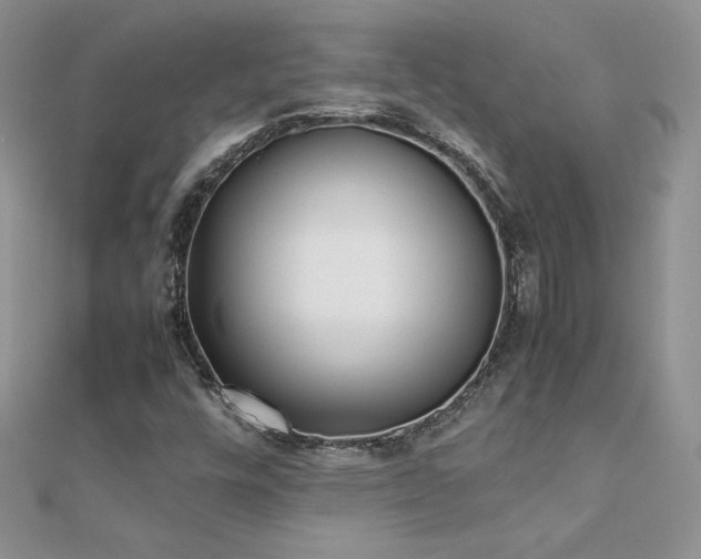X0000112041448200908101350