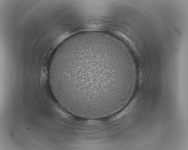 X0000112041449200908101350
