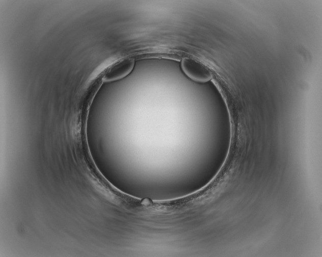 X0000112041450200908101350