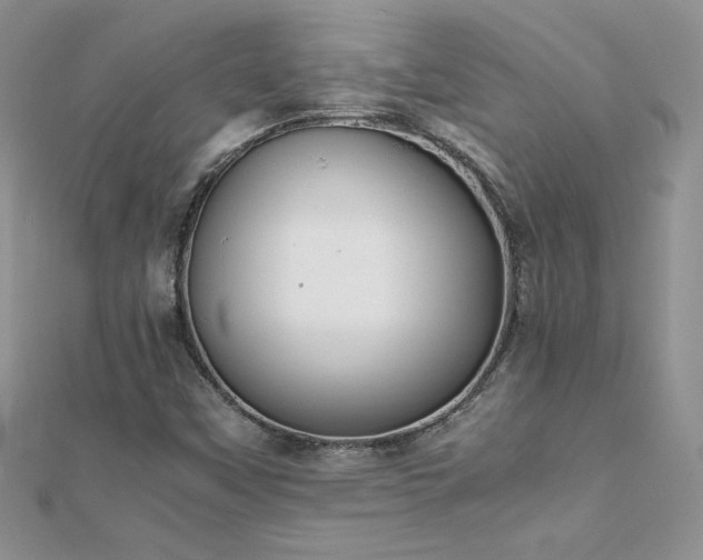 X0000112041451200908101350