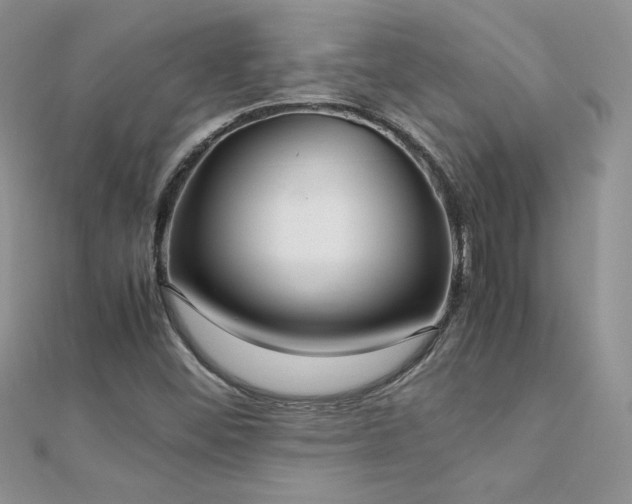 X0000112041452200908101350