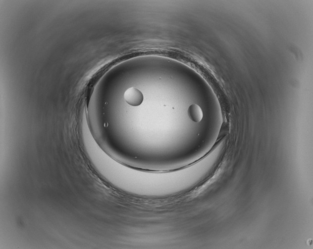 X0000112041453200908101350