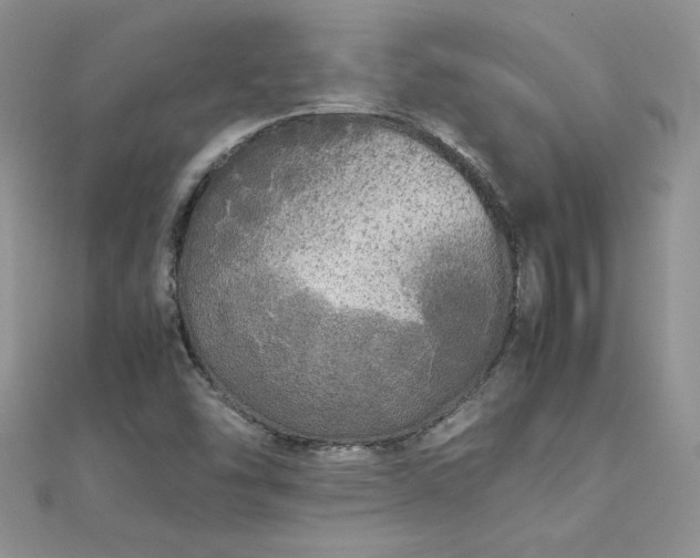 X0000112041454200908101350