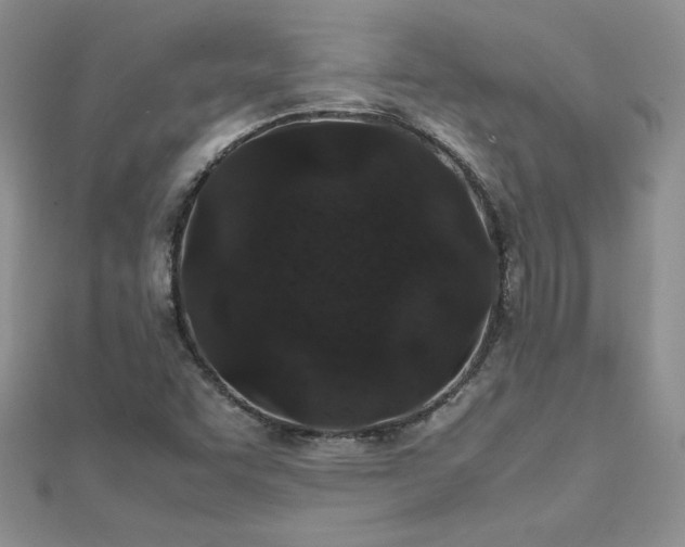 X0000112041455200908101350