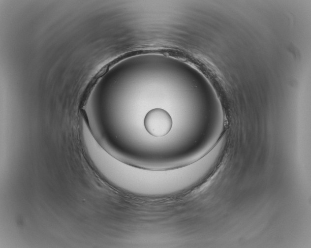X0000112041457200908101350