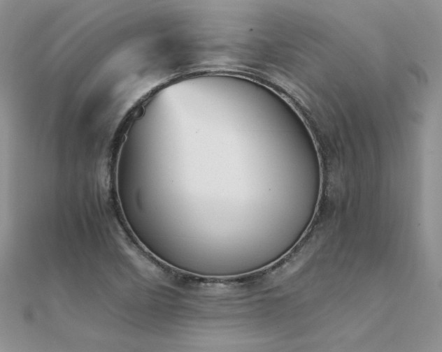 X0000112041458200908101350