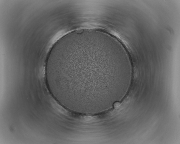 X0000112041459200908101350