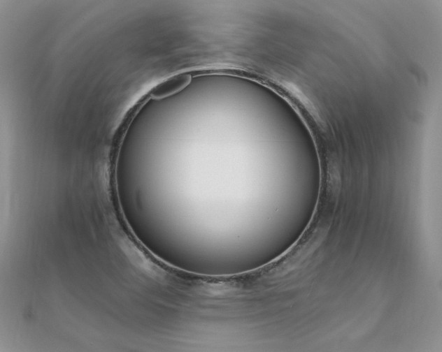 X0000112041460200908101350