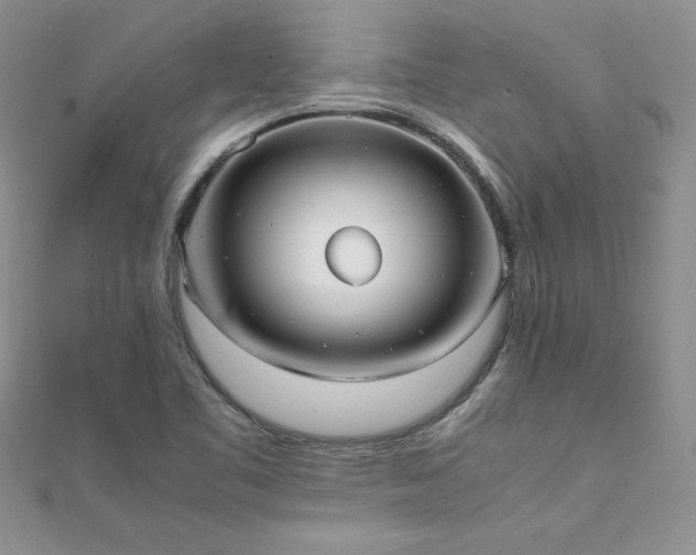 X0000112041461200908101350