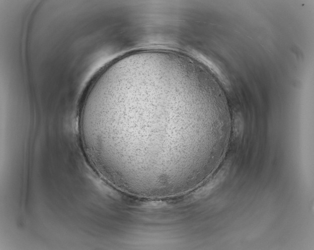 X0000112041462200908101350