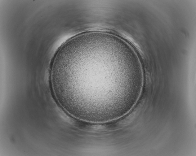X0000112041463200908101350