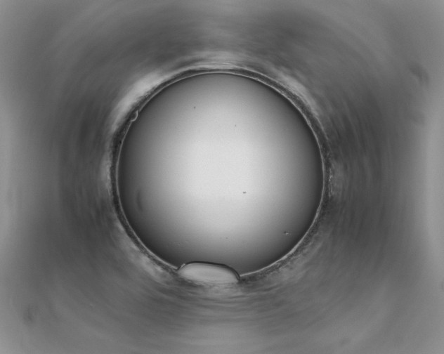 X0000112041464200908101350