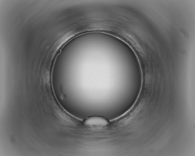 X0000112041465200908101350