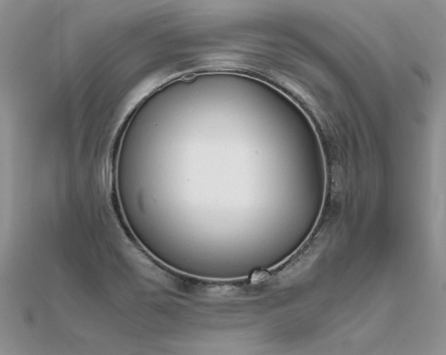 X0000112041467200908101350