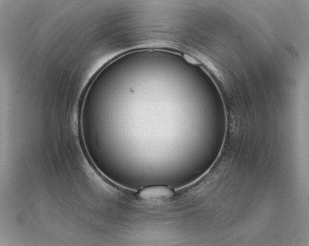 X0000112041468200908101350