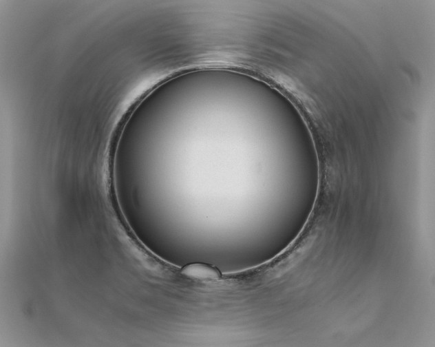 X0000112041469200908101350