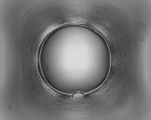 X0000112041471200908101350