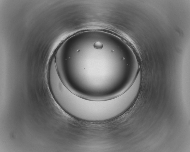 X0000112041472200908101350