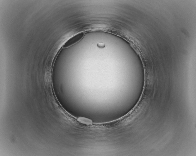 X0000112041473200908101350