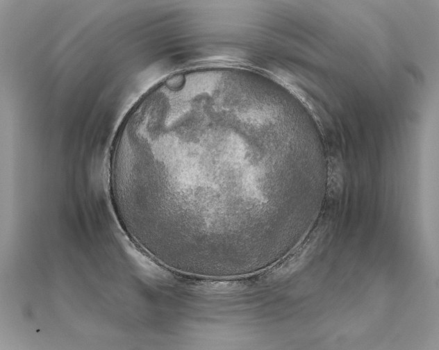 X0000112041474200908101350