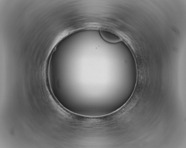 X0000112041475200908101350