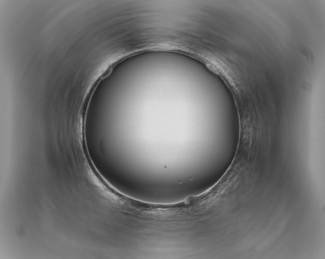 X0000112041476200908101350