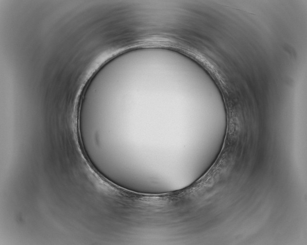 X0000112041478200908101350