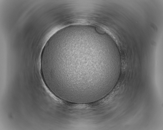 X0000112041479200908101350