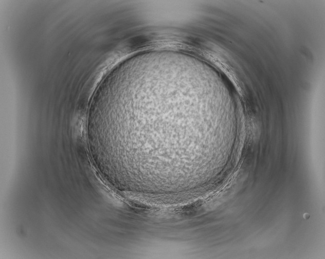 X0000112041481200908101350