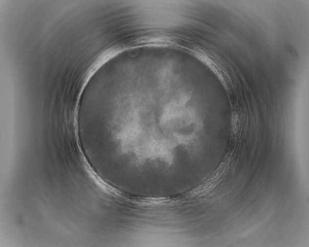 X0000112041482200908101350